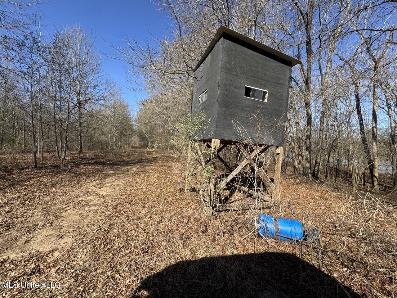 165 Mitchell Road Jonesville, LA 71343 - Photo 35 of 56 IMG_1757 Large