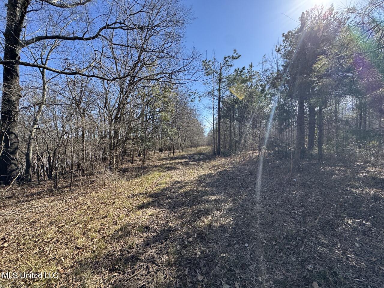 165 Mitchell Road Jonesville, LA 71343 - Photo 36 of 56 IMG_1758 Large