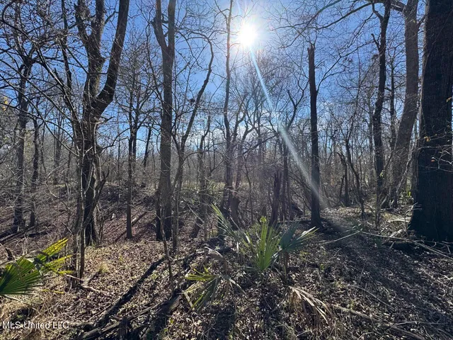 $299,000 | 165 Mitchell Road, Jonesville, LA 71343