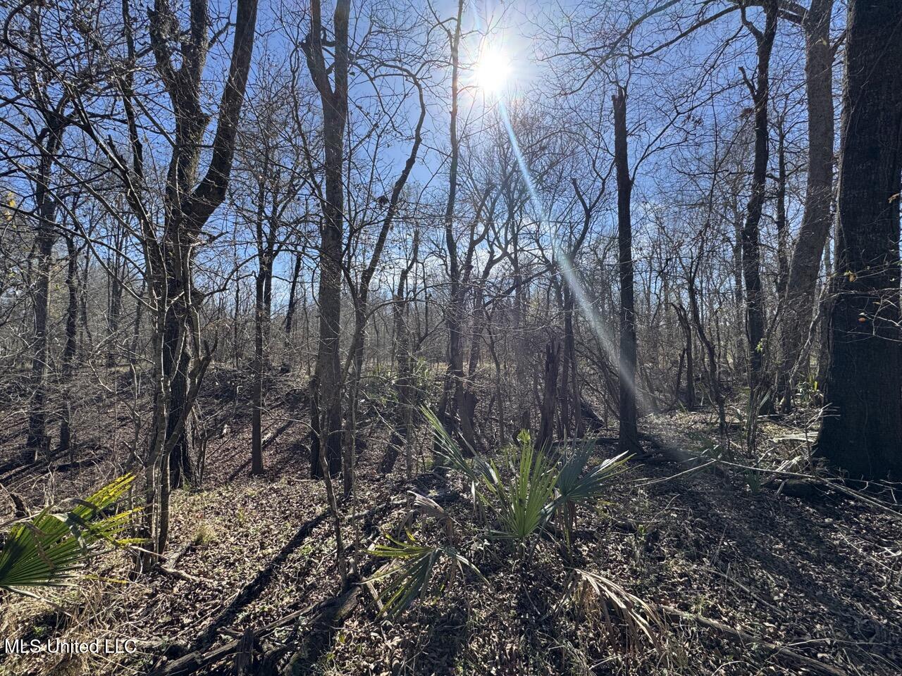 165 Mitchell Road Jonesville, LA 71343 - Photo 37 of 56 IMG_1762 Large