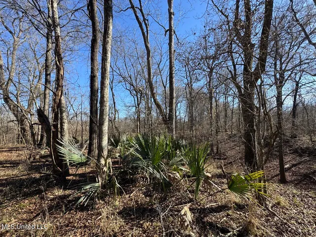 $299,000 | 165 Mitchell Road, Jonesville, LA 71343