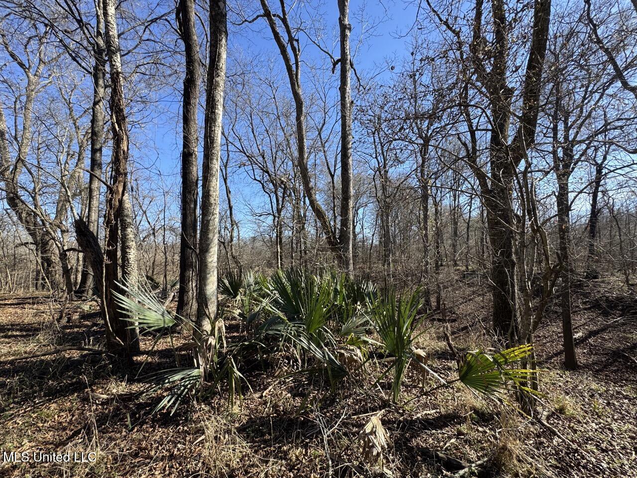 165 Mitchell Road Jonesville, LA 71343 - Photo 38 of 56 IMG_1763 Large