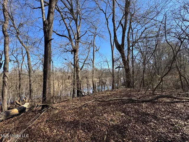 $299,000 | 165 Mitchell Road, Jonesville, LA 71343