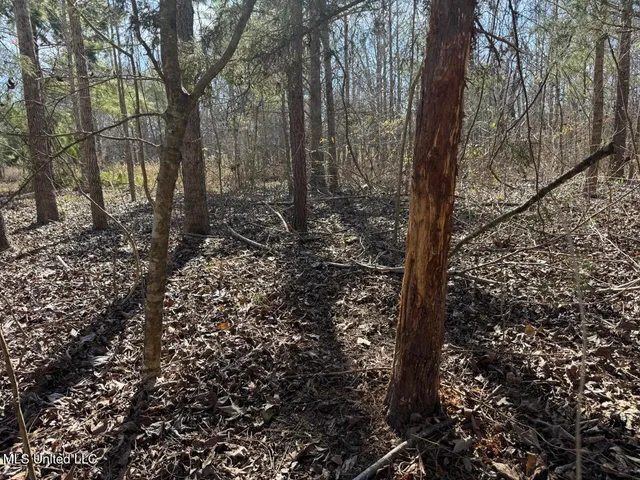 $299,000 | 165 Mitchell Road, Jonesville, LA 71343