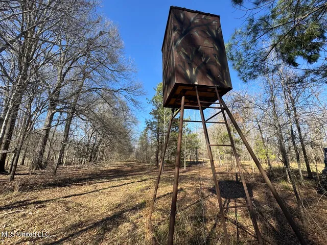 $299,000 | 165 Mitchell Road, Jonesville, LA 71343