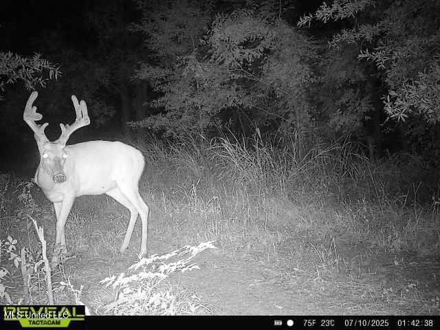 165 Mitchell Road Jonesville, LA 71343 - Photo 49 of 56 IMG_1026