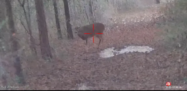 $299,000 | 165 Mitchell Road, Jonesville, LA 71343