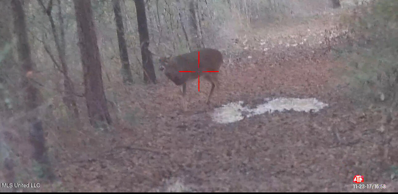 165 Mitchell Road Jonesville, LA 71343 - Photo 50 of 56 IMG_2835