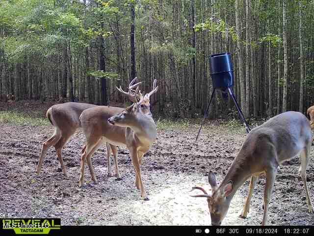 165 Mitchell Road Jonesville, LA 71343 - Photo 55 of 56 IMG_9060