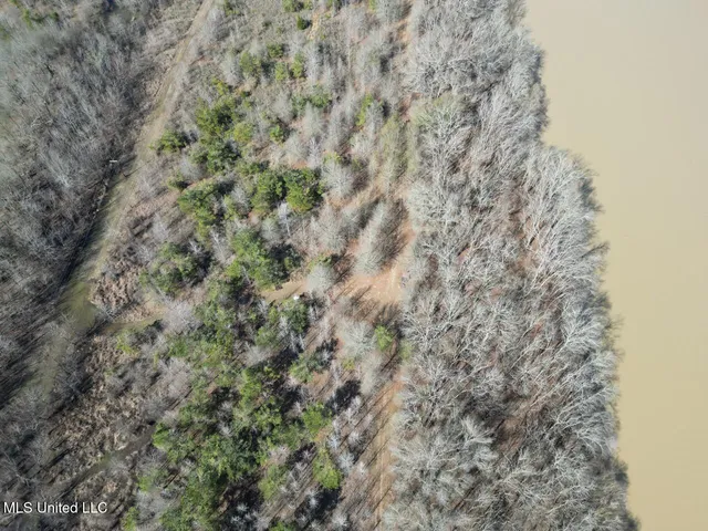 $299,000 | 165 Mitchell Road, Jonesville, LA 71343