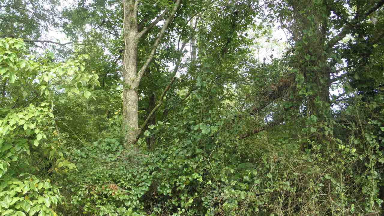 Lot #5 Ac Harper Road Pendleton, SC 29670 - Photo 2 of 3