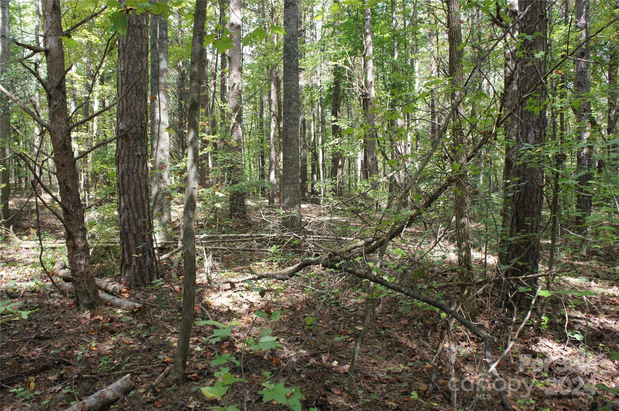 0 Woodleaf Barber Road Cleveland, NC 27013 - Photo 1 of 8 a view of forest