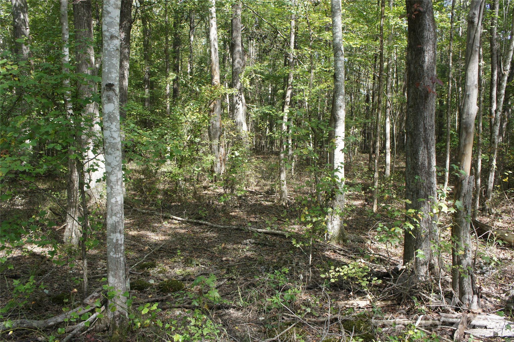0 Woodleaf Barber Road Cleveland, NC 27013 - Photo 2 of 8