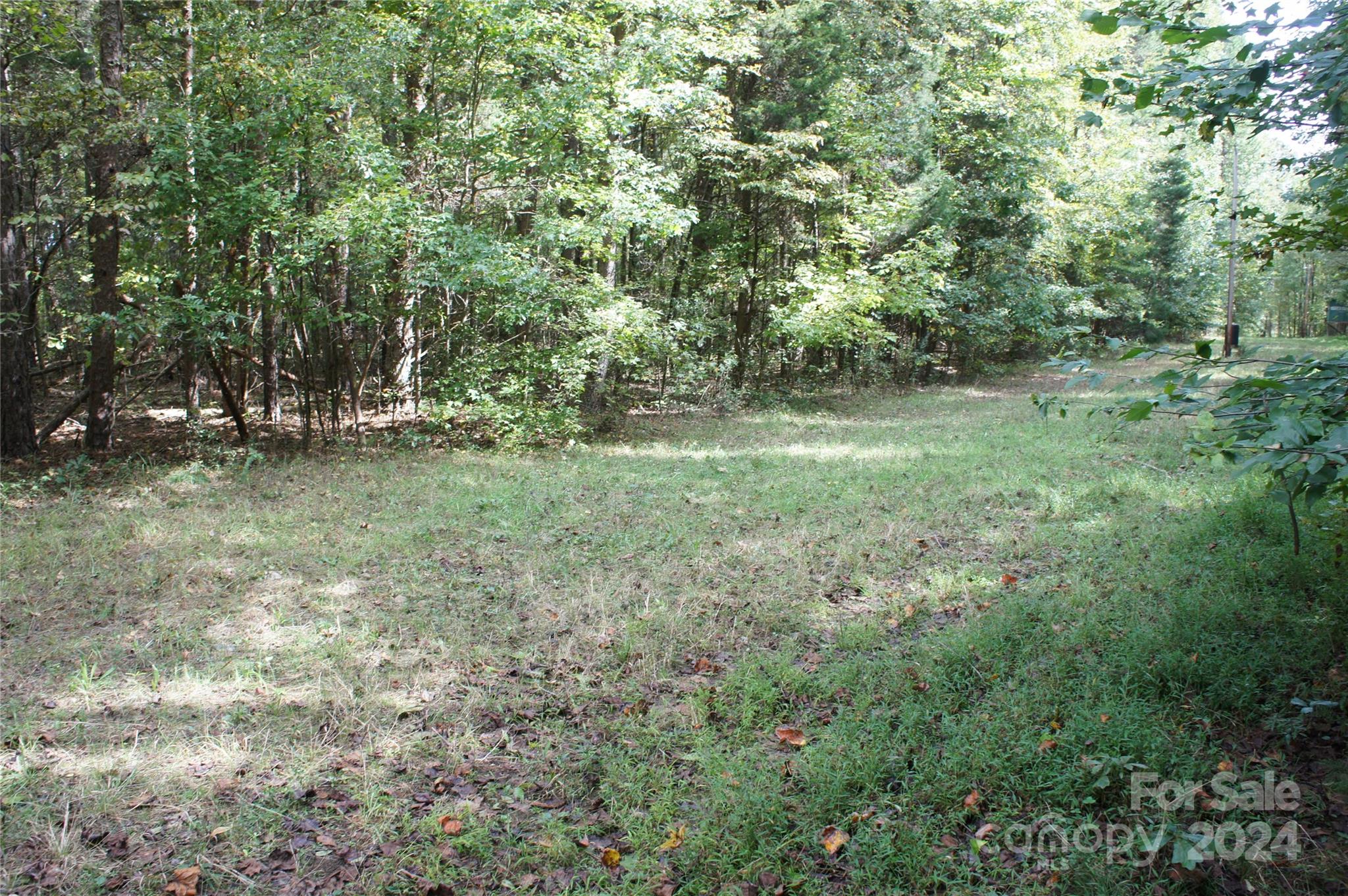 0 Woodleaf Barber Road Cleveland, NC 27013 - Photo 5 of 8 a view of a forest with trees in the background