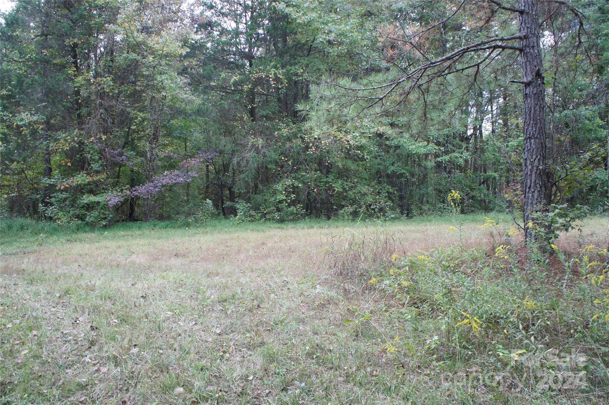 0 Woodleaf Barber Road Cleveland, NC 27013 - Photo 6 of 8 a view of a lush green forest with lots of trees