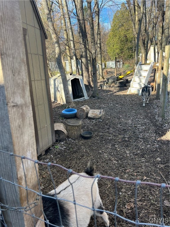 1218 Hard Point Road Conquest, NY 13140 - Photo 16 of 45 The goats home, it doesn't convey but you could cr