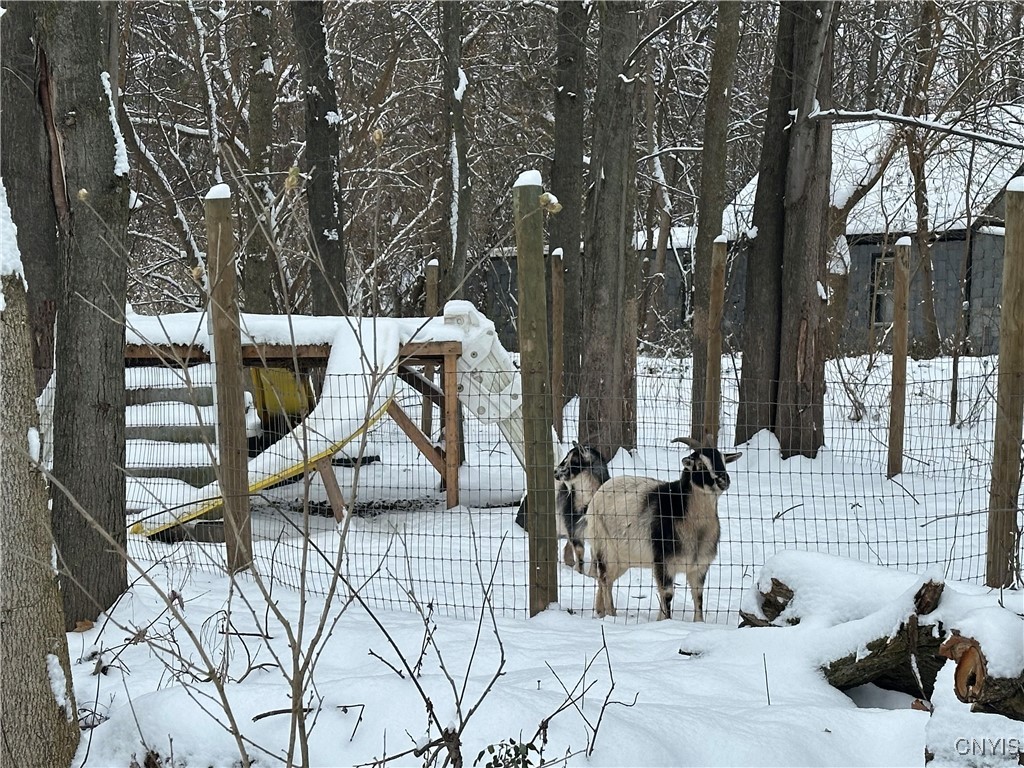 1218 Hard Point Road Conquest, NY 13140 - Photo 38 of 45