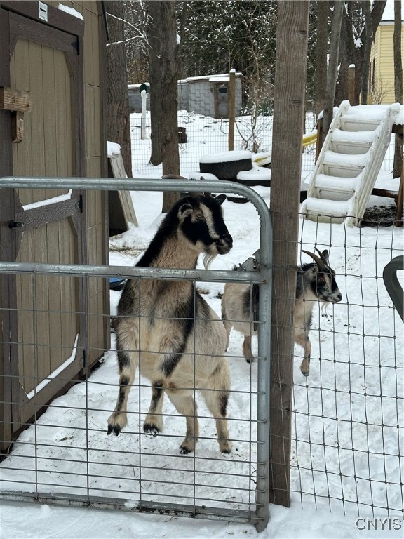 1218 Hard Point Road Conquest, NY 13140 - Photo 40 of 45