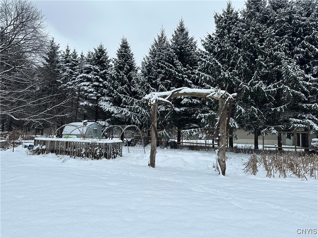 1218 Hard Point Road Conquest, NY 13140 - Photo 41 of 45 The gardens are ready for you to plant your favori