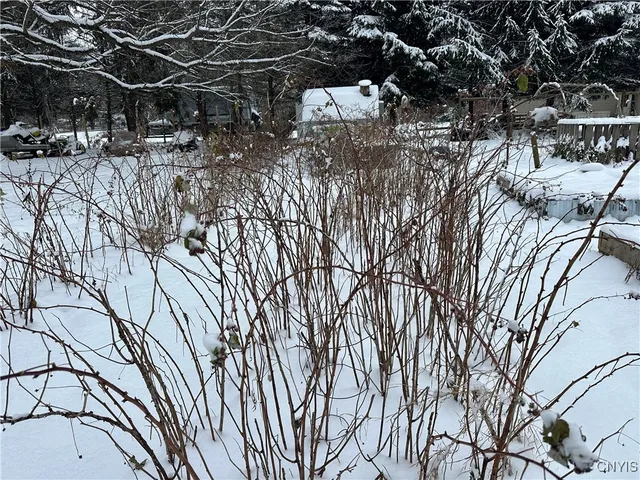 $185,000 | 1218 Hard Point Road, Conquest, NY 13140