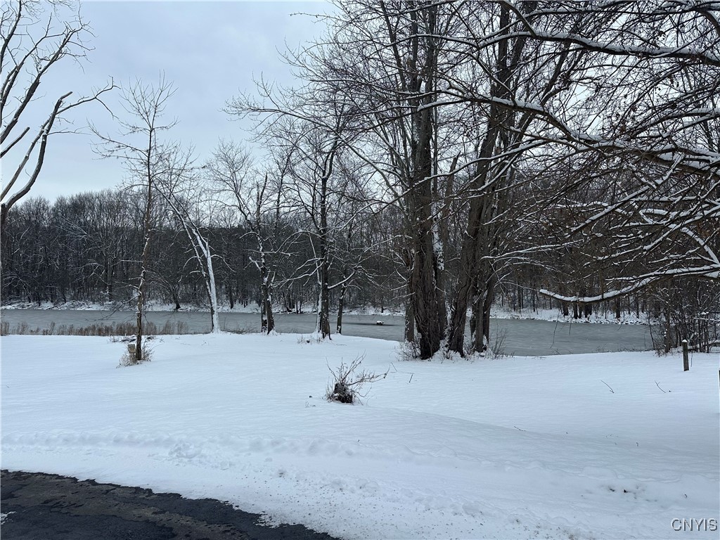 1218 Hard Point Road Conquest, NY 13140 - Photo 43 of 45