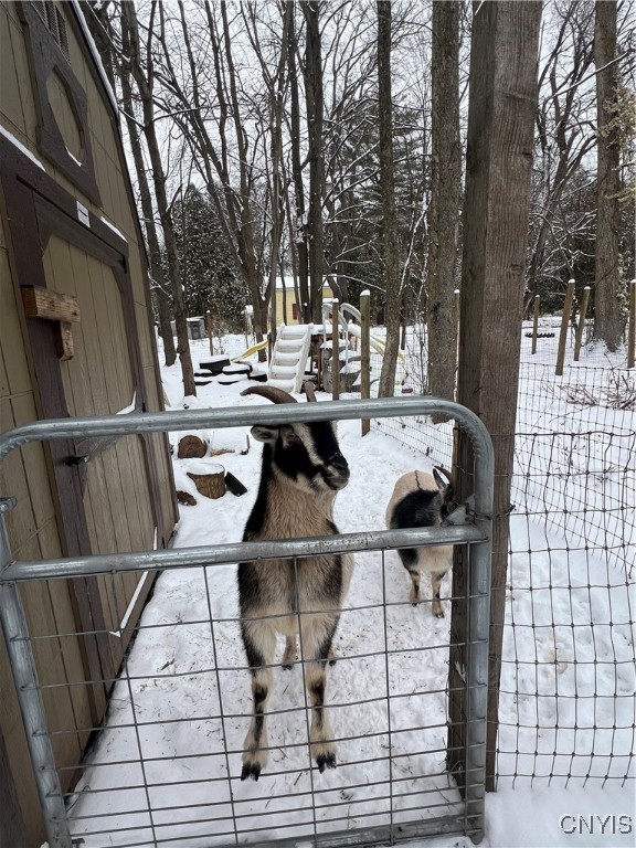 1218 Hard Point Road Conquest, NY 13140 - Photo 44 of 45