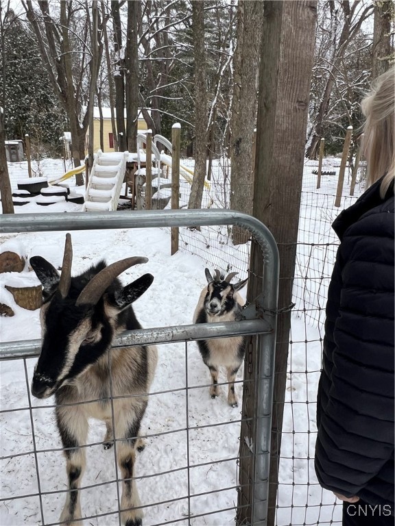 1218 Hard Point Road Conquest, NY 13140 - Photo 45 of 45