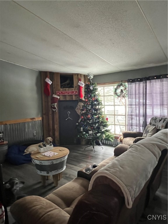 1218 Hard Point Road Conquest, NY 13140 - Photo 5 of 45 Cozy Livingroom