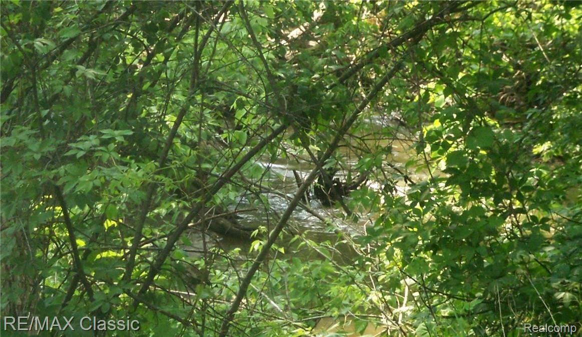 3364 Rivers Edge Drive Wayne, MI 48184 - Photo 32 of 33 The Lower Rouge River is the view .