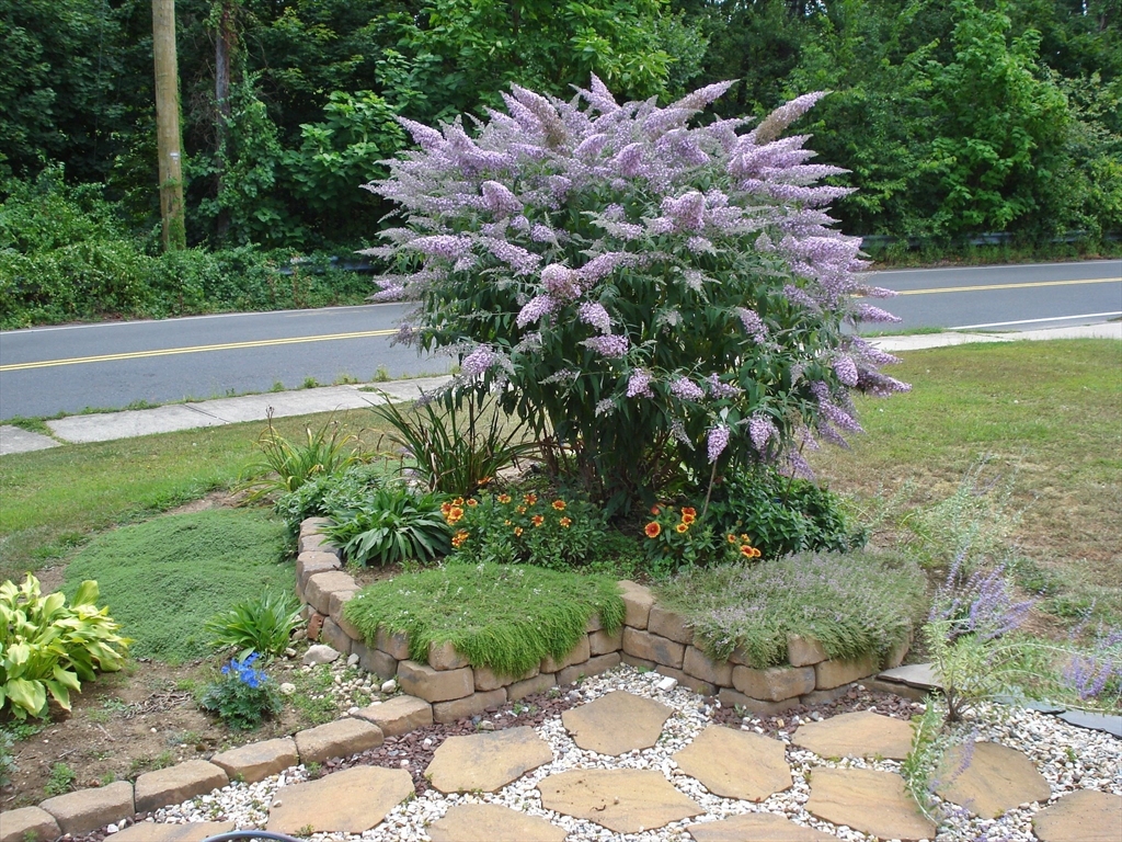 854 Grayson Drive Springfield, MA 01119 - Photo 40 of 40