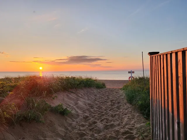 a view of a yard with an ocean view
