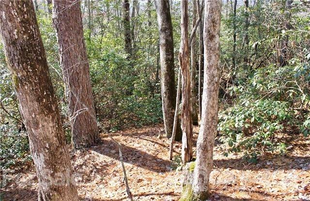Tbd East View Drive, Unit 16R Brevard, NC 28712 - Photo 2 of 11 a view of a garden