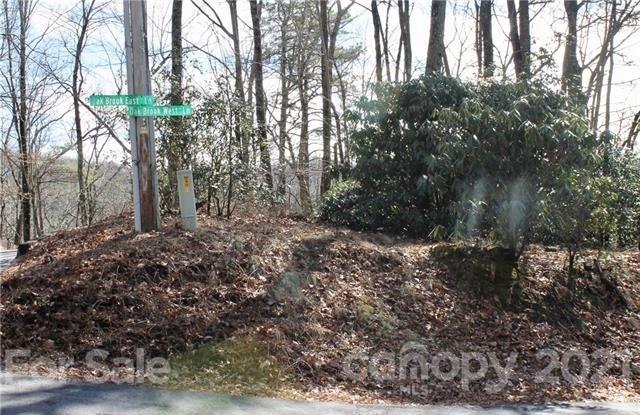 Tbd East View Drive, Unit 16R Brevard, NC 28712 - Photo 3 of 11 a view of a yard with plants and trees