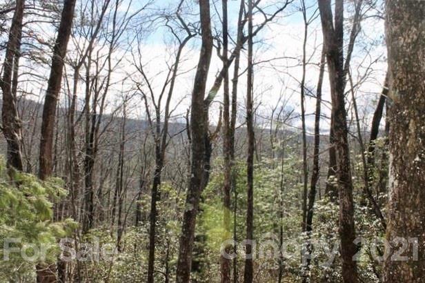 Tbd East View Drive, Unit 16R Brevard, NC 28712 - Photo 5 of 11 a view of forest