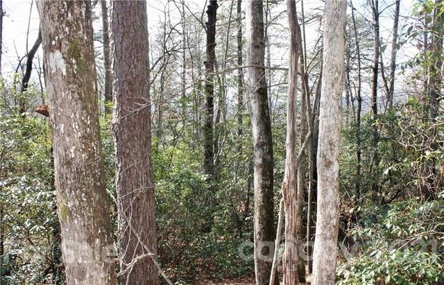 Tbd East View Drive, Unit 16R Brevard, NC 28712 - Photo 6 of 11 a view of a forest with trees