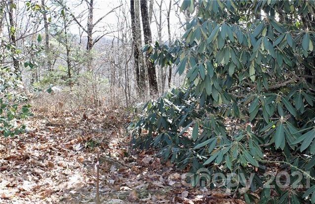 Tbd East View Drive, Unit 16R Brevard, NC 28712 - Photo 7 of 11 a view of a tree