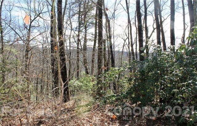 Tbd East View Drive, Unit 16R Brevard, NC 28712 - Photo 8 of 11