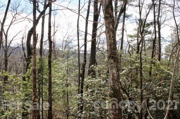 Tbd East View Drive, Unit 16R Brevard, NC 28712 - Photo 10 of 11 a view of forest