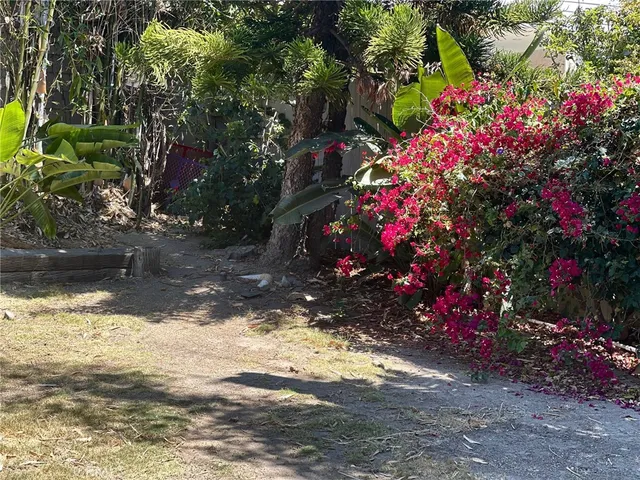 a view of a yard with flowers