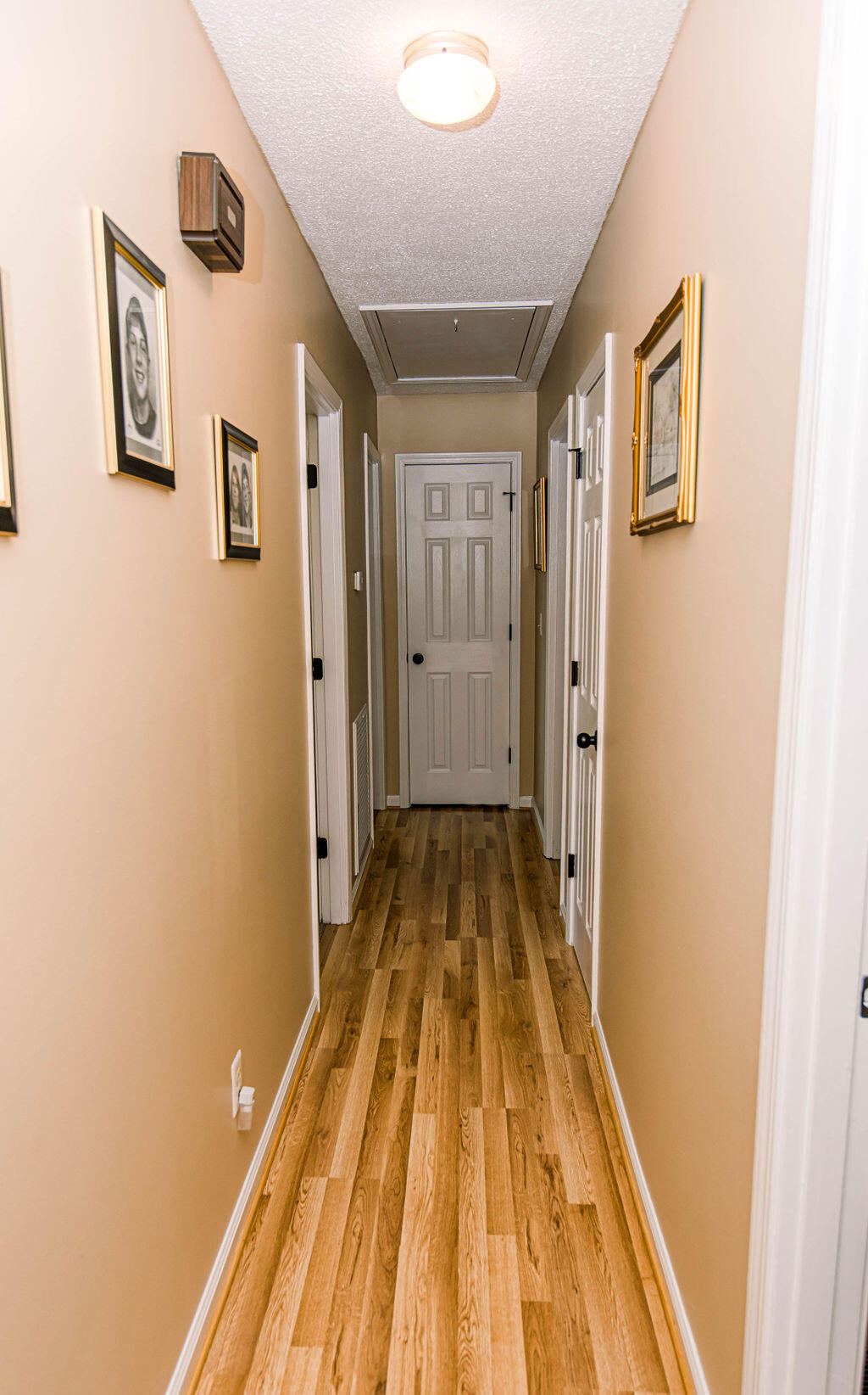 380 Chamblee Road Walterboro, SC 29488 - Photo 14 of 43 6