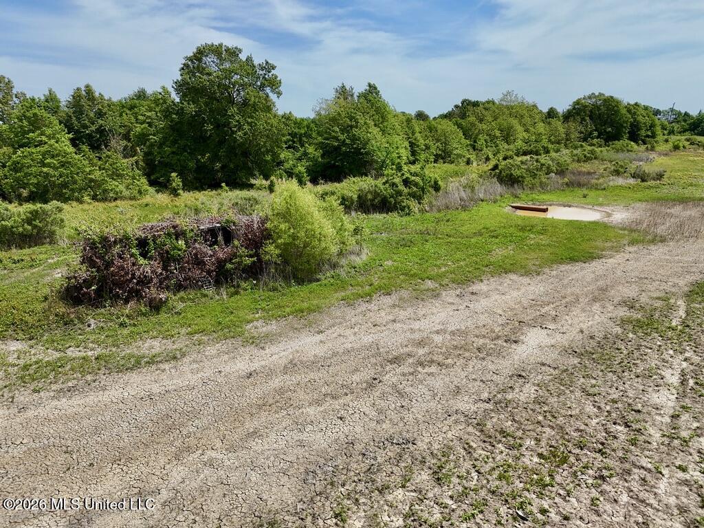1 Highway 3 Lambert, MS 38643 - Photo 83 of 102 5BCF1A37-03DE-451D-9319-2AECAB8F5B46_1_1