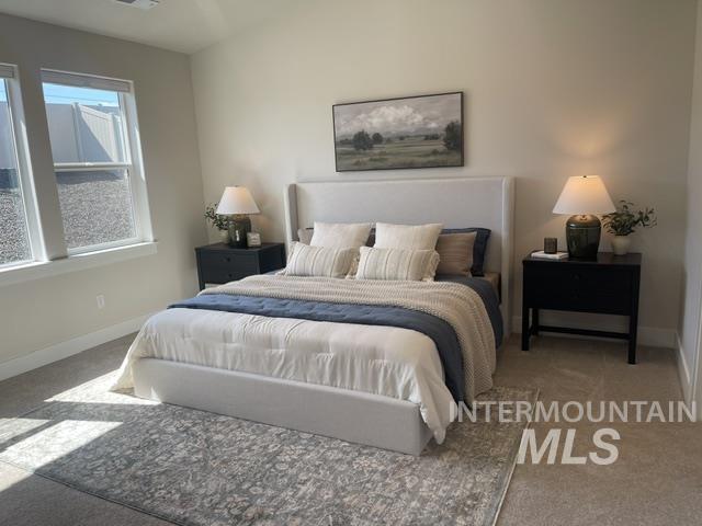 2035 Sumac Avenue Middleton, ID 83644 - Photo 6 of 17 Spacious bedroom featuring light-toned walls and plush carpeting