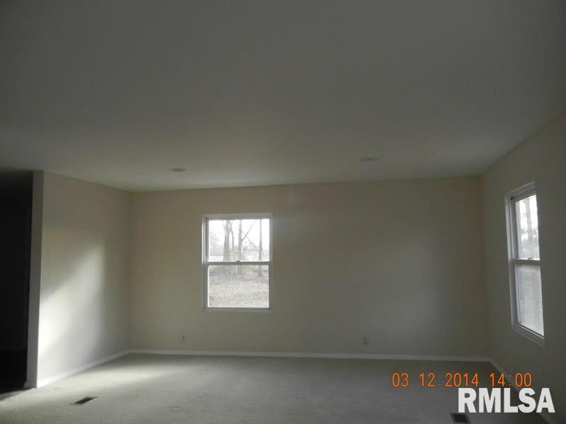 3264 Lowery Road Salem, IL 62881 - Photo 2 of 15