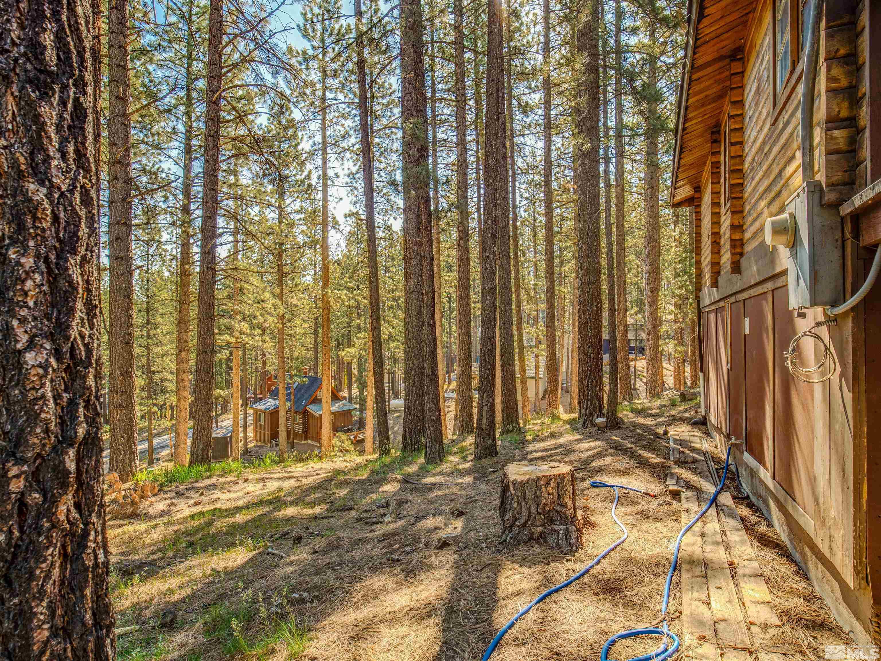 77 Ox Bow Markleeville, CA 96120 - Photo 32 of 33 a view of backyard with patio