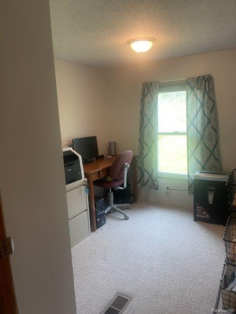 3805 West Prairie Road Shepherd, MI 48883 - Photo 30 of 36