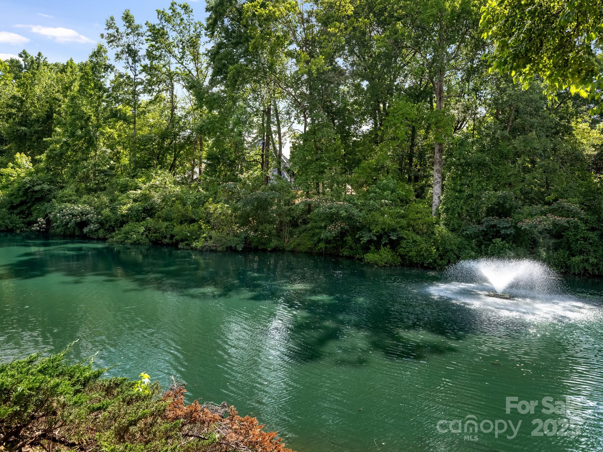 1417 South Wendover Road Charlotte, NC 28211 - Photo 38 of 44 a view of a lake with a yard