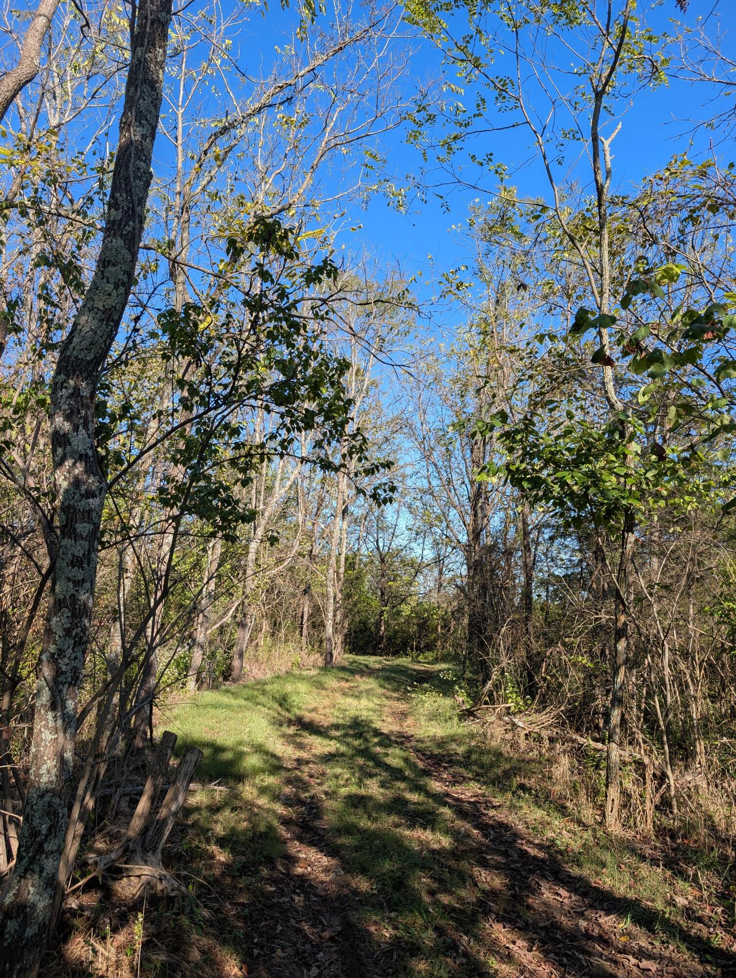 1600 Garnett Road Carlisle, KY 40311 - Photo 2 of 15 PXL_20251009_202042697