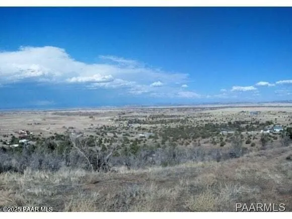 a view of a dry yard