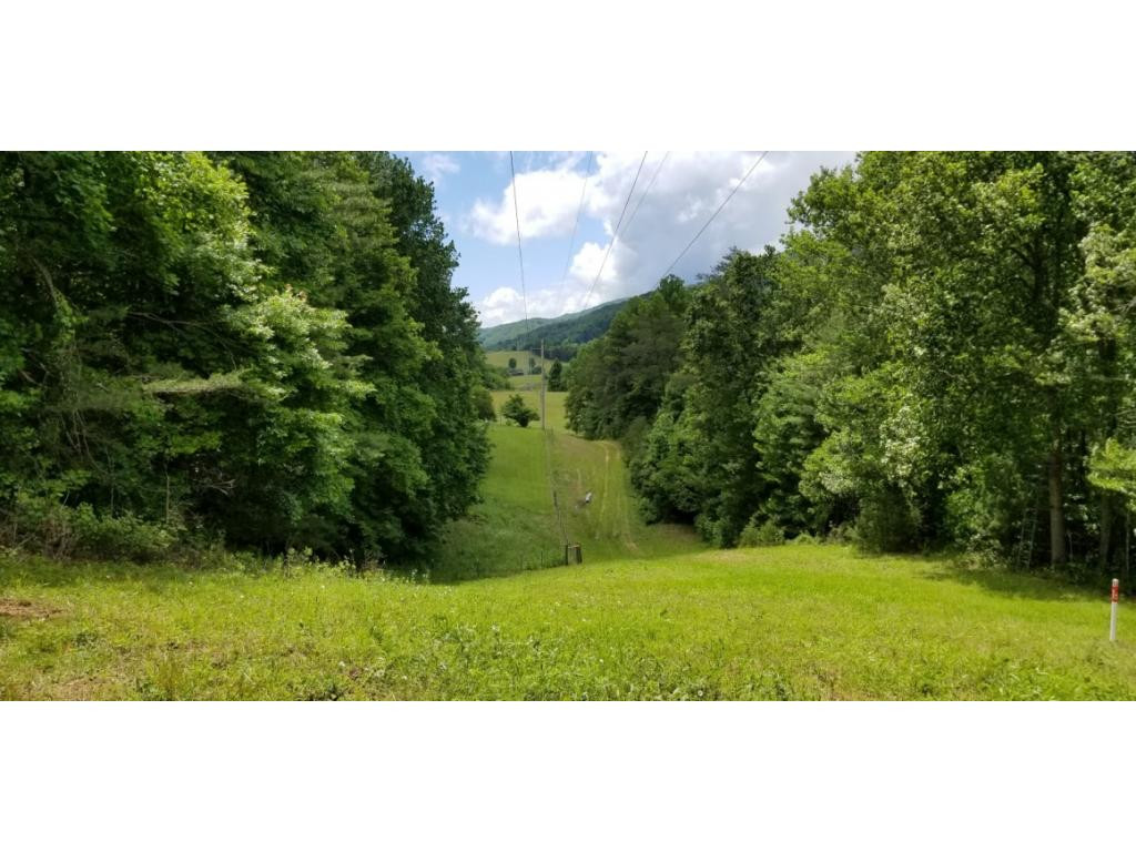 210 Pine Hill Road Unicoi, TN 37692 - Photo 1 of 34 Photo 1