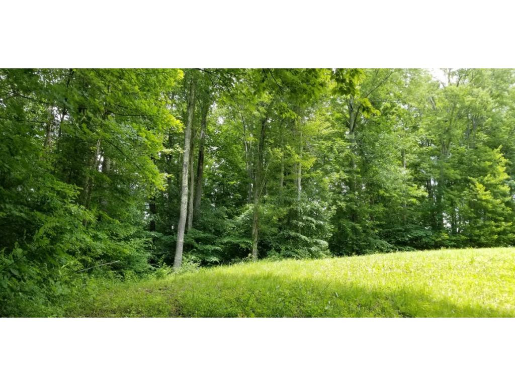 210 Pine Hill Road Unicoi, TN 37692 - Photo 11 of 34 Photo 11